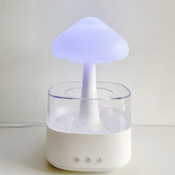 Rain Cloud Humidifer